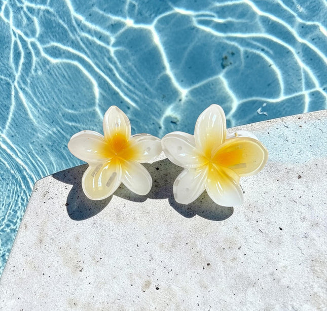 12 Pinzas Hawainas Ch Clasicas $5.5 c/u