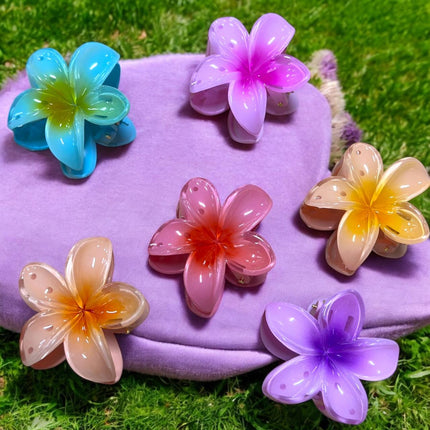 12 Pinzas Hawaianas Clasicas $9.9 c/u