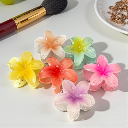 12 Pinzas Hawainas Clasicas Colore $9.9 c/u