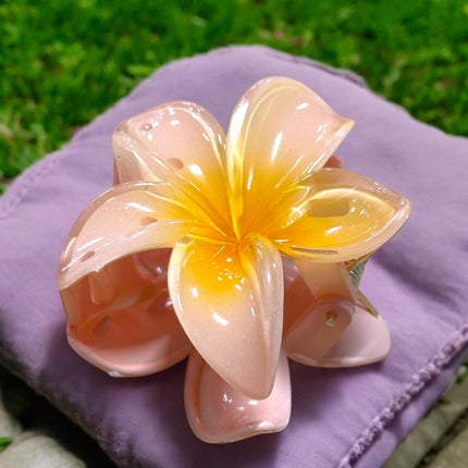 12 Pinzas Hawaianas Clasicas $9.9 c/u