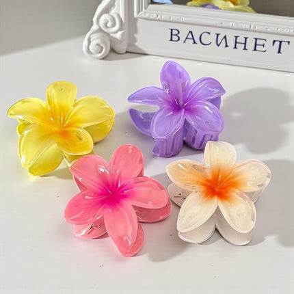 12 Pinzas Hawainas Clasicas Colores $9.9 c/u