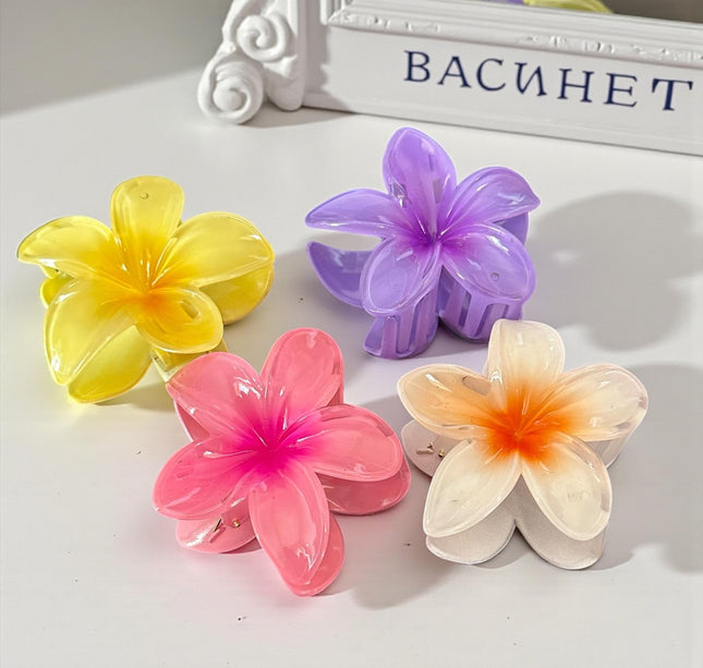 12 Pinzas Hawainas Clasicas Colores $9.9 c/u