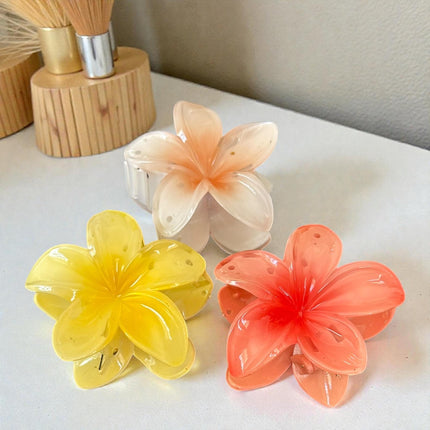 12 Pinzas Hawainas Clasicas Colore $9.9 c/u