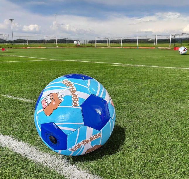 Balón Capibara Pequeño