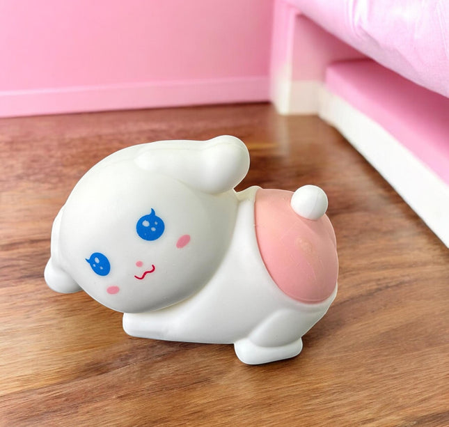 6 Squishies Premium Sanrio $19 c/u