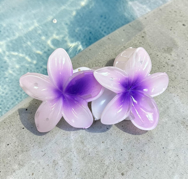 12 Pinzas Hawainas Ch Clasicas $5.5 c/u