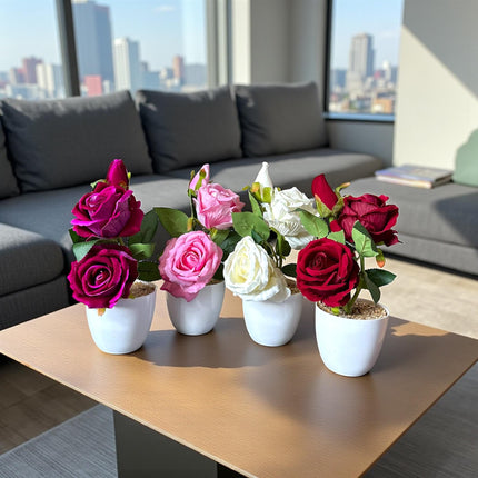 Arreglo de Rosas Dobles en Maceta Colores