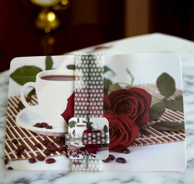 Set 6 Manteles de plastico y 6 Posavasos