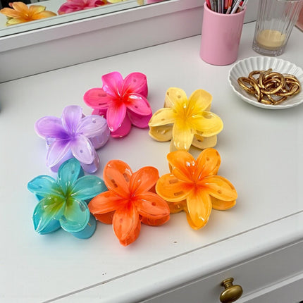 12 Pinzas Hawainas Clasicas Colores Chicas $6 c/u