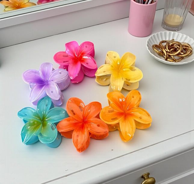 12 Pinzas Hawainas Clasicas Colores Chicas $6 c/u