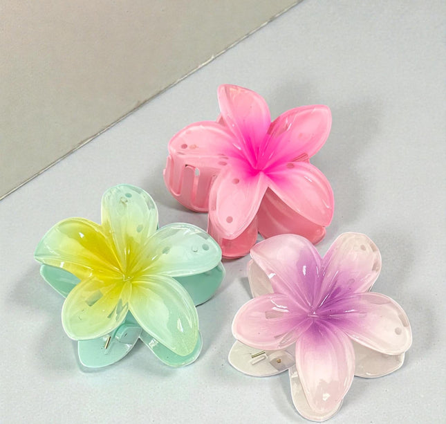 12 Pinzas Hawainas Clasicas Colore $9.9 c/u