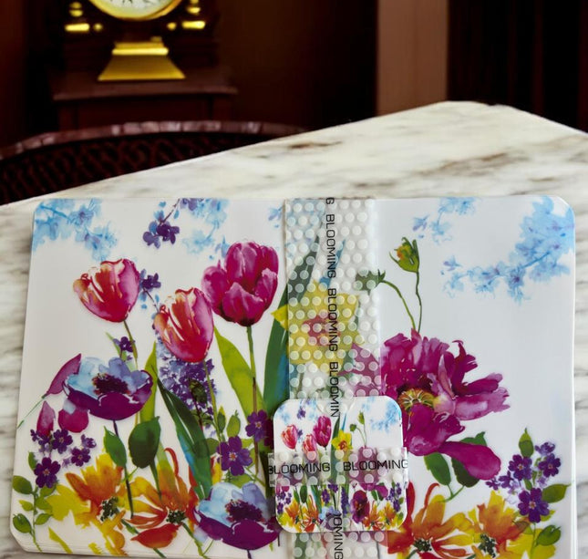 Set 6 Manteles de plastico y 6 Posavasos