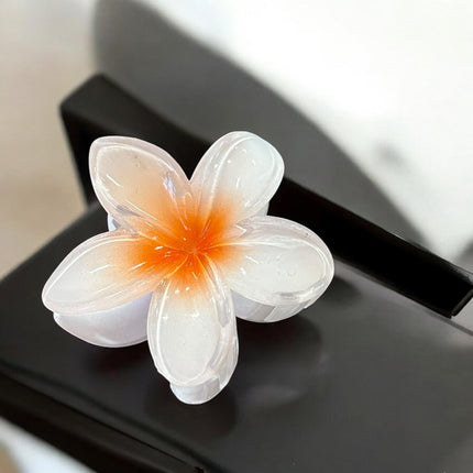 12 Pinzas Hawaiinas Clasicas Colores $9.8 c/u