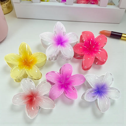 12 Pinzas Hawainas de Colores $9.9 c/u