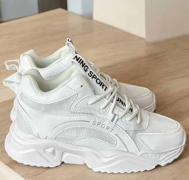 Tenis Sport y Casuales diferentes diseños y tamaños