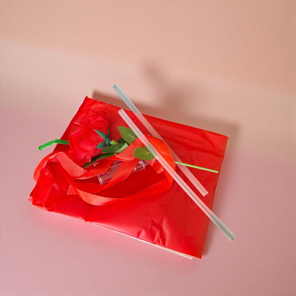 Globo Burbuja con Rosa y Luz