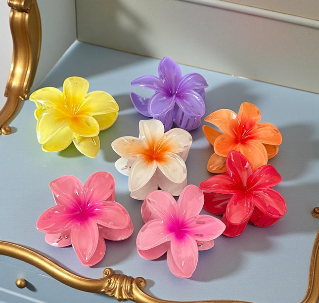 12 Pinzas Hawainas Clasicas Colores $9.9 c/u