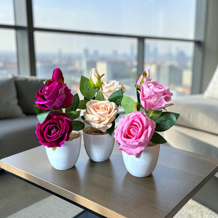 Arreglo de Rosas Dobles en Maceta Colores