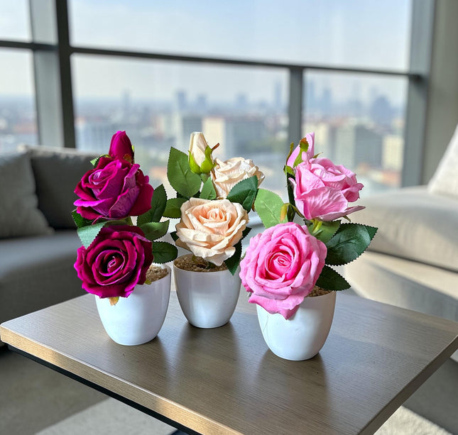 Arreglo de Rosas Dobles en Maceta Colores