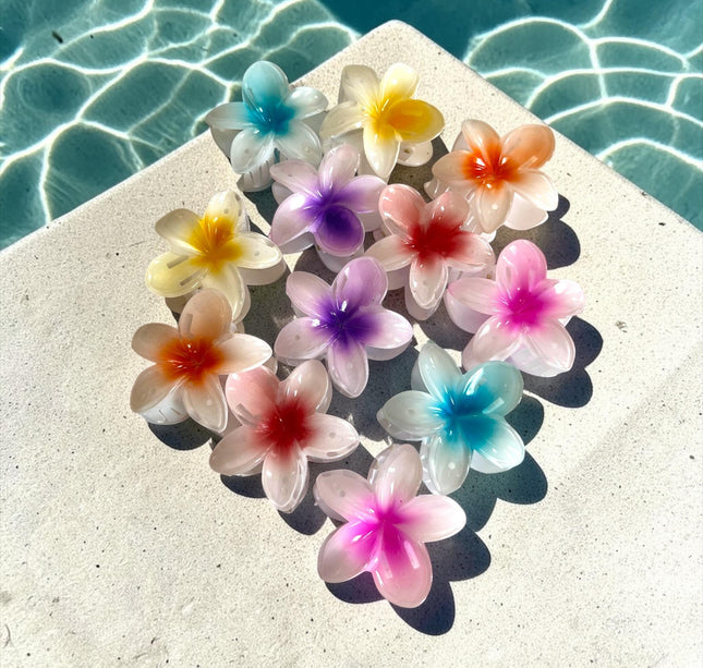 12 Pinzas Hawainas Ch Clasicas $5.5 c/u