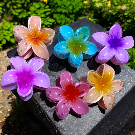 12 Pinzas Hawaianas Clasicas $9.9 c/u