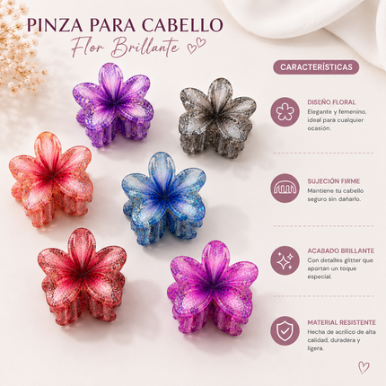 12 Pinzas Hawainas Difuminadas Brillo CH $6.25 c/u