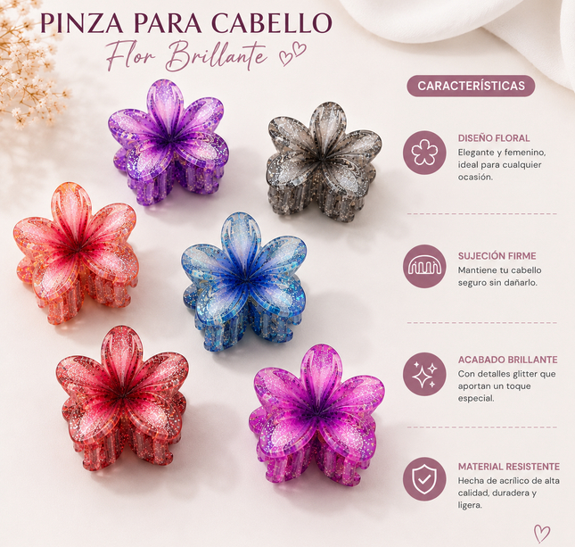 12 Pinzas Hawainas Difuminadas Brillo CH $6.25 c/u
