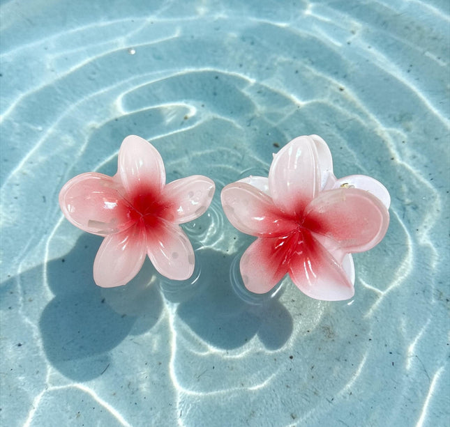 12 Pinzas Hawainas Ch Clasicas $5.5 c/u