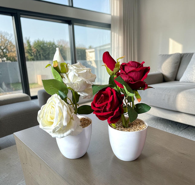 Arreglo de Rosas Dobles en Maceta Colores