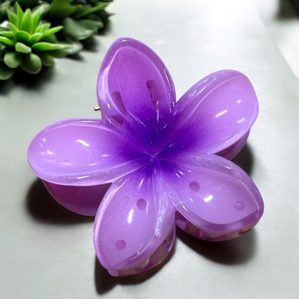 12 Pinzas Hawaianas Clasicas $9.9 c/u