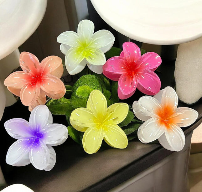 12 Pinzas Hawaiinas Clasicas Colores $9.8 c/u