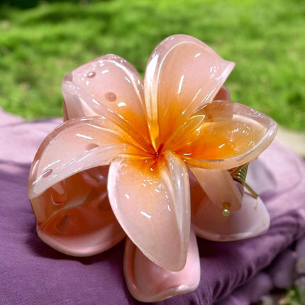 12 Pinzas Hawaianas Clasicas $9.9 c/u