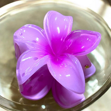 12 Pinzas Hawaianas Clasicas $9.9 c/u