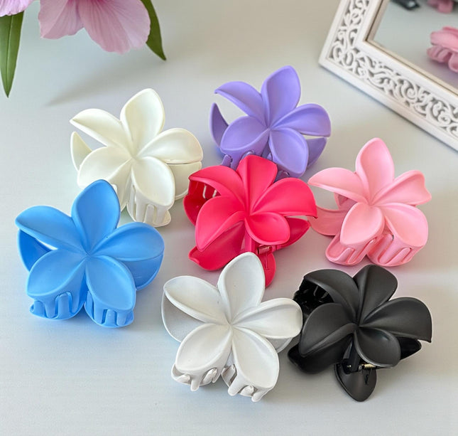 12 Pinzas Hawainas Clasicas Colores Matte $9.9 c/u