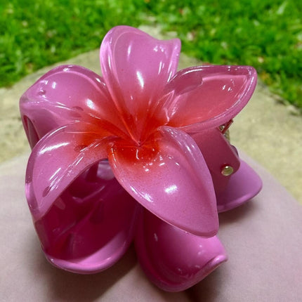 12 Pinzas Hawaianas Clasicas $9.9 c/u