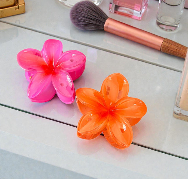 12 Pinzas Hawainas Clasicas Colores Chicas $6 c/u