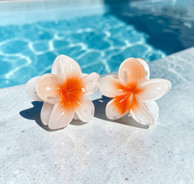 12 Pinzas Hawainas Ch Clasicas $5.5 c/u