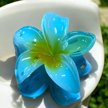 12 Pinzas Hawaianas Clasicas $9.9 c/u