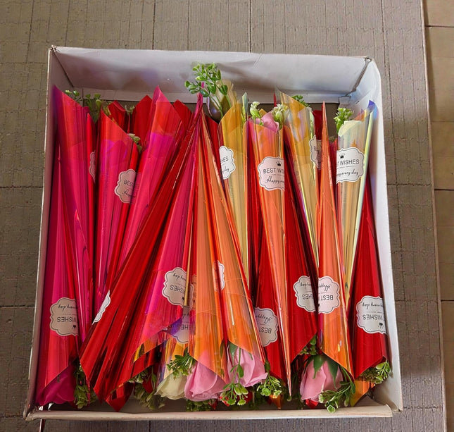 12 Rosa Individual Tornasol "San Valentin" $19 c/u